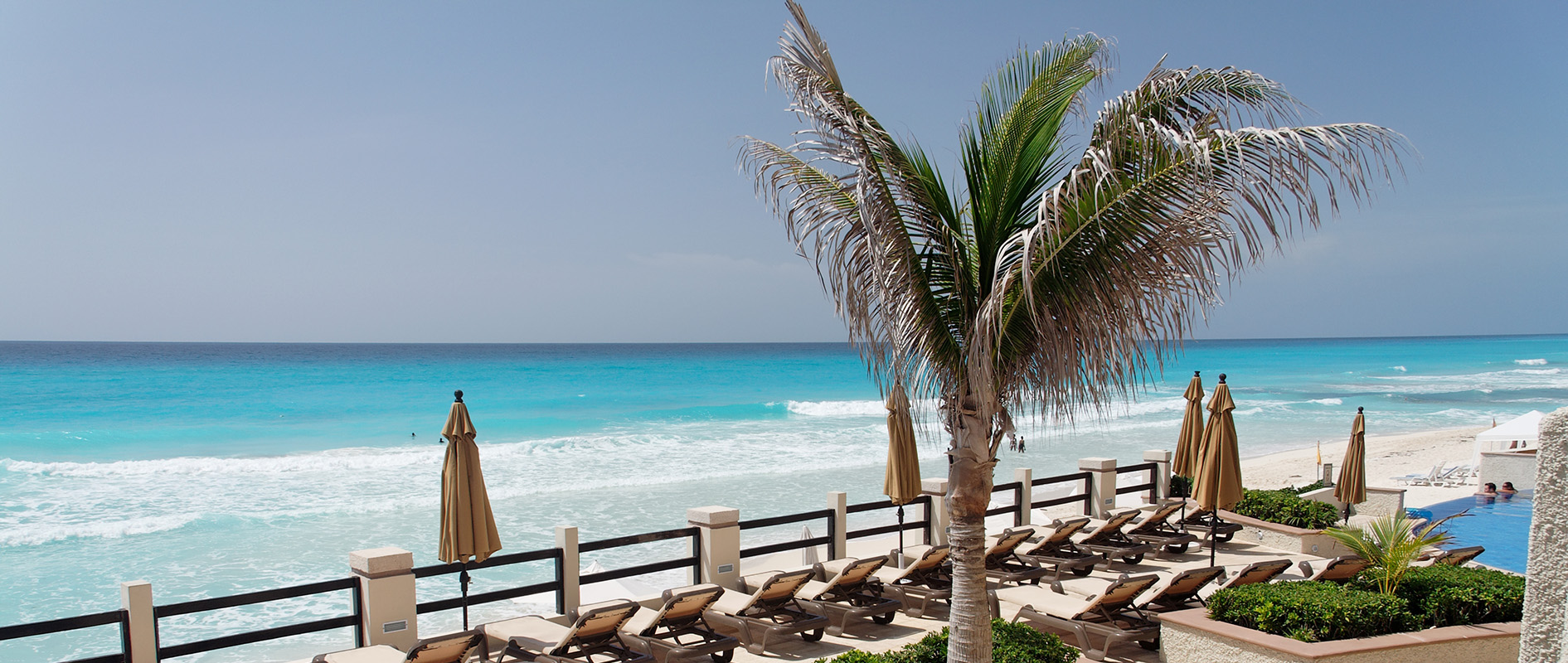 Seaside resort terrace with a palm tree overlooking turquoise water